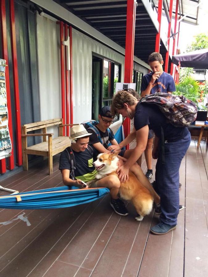 At Box Hostel Chiang Mai Exterior photo